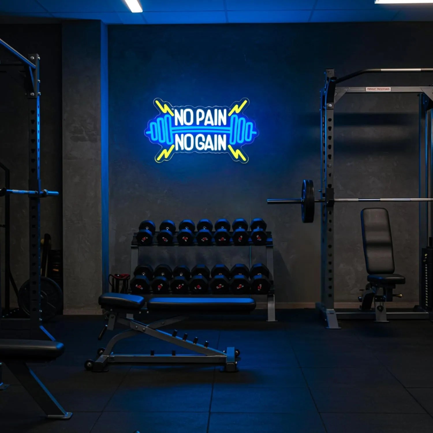 No Pain No Gain Neon Sign LED Light